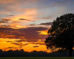 Radiant Awakening Silhouette of a tree against a vivid sunrise sky with glowing orange clouds.
