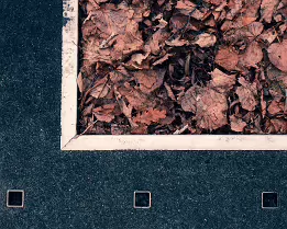 Contained Fallen leaves settle into a rigid urban frame, where chance and order briefly agree.