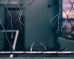 Deliberate Cut A repeating structure interrupted not by wear, but by intent. Clean cuts sit beside bent strands, blurring the line between damage and decision. A system...