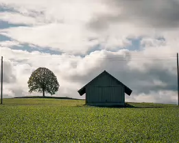 Balanced Stillness A solitary tree and a small wooden barn stand on gentle green farmland under a vast, cloud-filled sky. The soft sunlight and muted colors create a tranquil,...