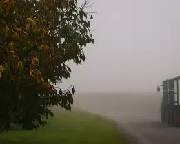 Fogbound Departure A tractor vanishes into thick morning fog beside autumn leaves — a tranquil rural scene evoking calm, change, and the quiet beauty of farm life.