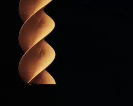 Helix of Light A close-up photograph of a softly illuminated golden spiral emerging from a deep black background, its curved ridges glowing with warmth and texture.