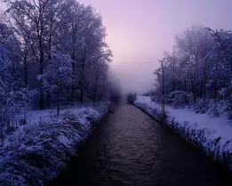 Snowy Channel Narrow river flanked by snow-covered trees fading into purple morning fog.