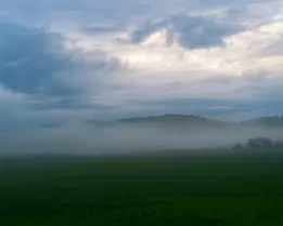 Whisper of Dawn Landscape photograph of a misty field at dawn, with soft fog drifting over green grass and distant tree lines beneath a moody blue-gray sky. The scene feels...