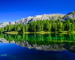 Alpine Jewel Crystal-clear alpine lake reflecting emerald pines and rugged gray peaks.