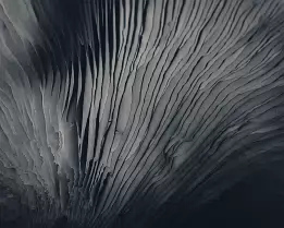 Folded Whisper Abstract close-up of mushroom gills in black and white, showing layered, flowing textures and soft gradations of light.