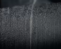 Midnight Veins Black-and-white close-up of a corn leaf covered with water droplets.