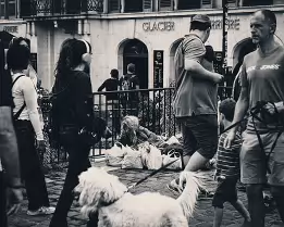 Overlooked Hardship Monochrome candid street scene showing pedestrians and a dog walking past a seated homeless woman surrounded by bags outside a city building.