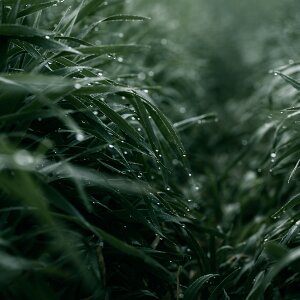 Nature Close views of textures, patterns, and small wonders.